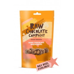 RAW CHOCOLATE COMPANY - Dark Chocolate Ginger - BIG